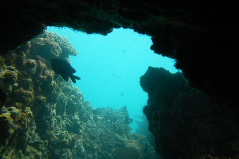 Half-Day Abrolhos Islands Shipwreck Air And Land Tour From Geraldton - Tourism Guide 0