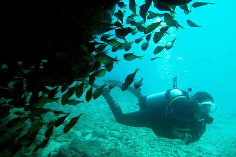 Scuba Dive Ningaloo Reef - Tourism Guide 0