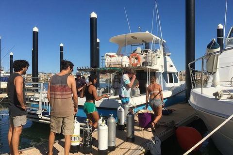 Scuba Dive Ningaloo Reef - Tourism Guide 4