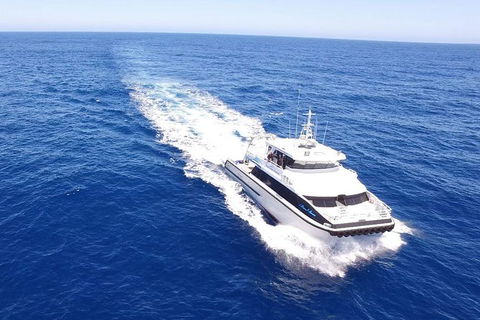 Augusta Whale Watching Eco Tour - Tourism Guide 8