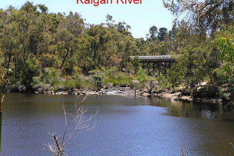 Kalgan Queen Scenic Cruises A Four Hour Sheltered Water Wildlife Tour Daily Fun. - Tourism Guide 3