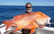 Montebello Island Fishing Charters - thumb 8