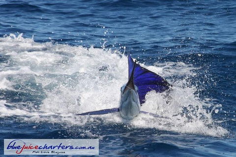 Montebello Island Fishing Charters - Tourism Guide 6