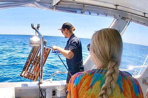 Rottnest Island 5-Course Deluxe Seafood Banquet Cruise - Tourism Guide 20