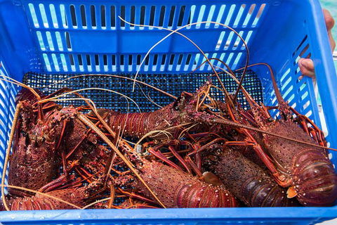 Rottnest Island 5-Course Deluxe Seafood Banquet Cruise - Tourism Guide 3