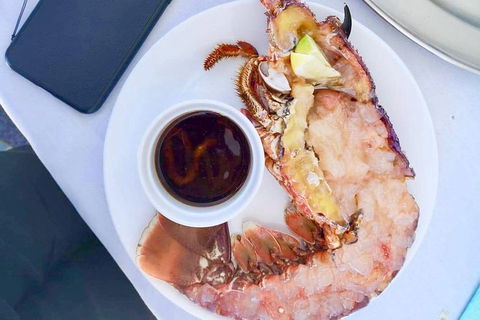 Rottnest Island 5-Course Deluxe Seafood Banquet Cruise - Tourism Guide 4