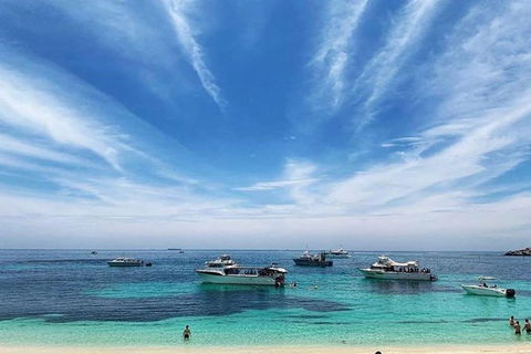 Rottnest Island 5-Course Deluxe Seafood Banquet Cruise - Tourism Guide 7