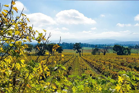 Alternative Yarra Valley Wine Tasting Tour Departing From Melbourne - Tourism Guide 4