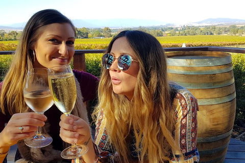 Alternative Yarra Valley Wine Tasting Tour Departing From Melbourne - Tourism Guide 5