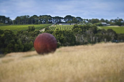 Estate To Plate: Montalto Vineyard Gourmet Lunch And Wine-Tasting Tour - Tourism Guide 0