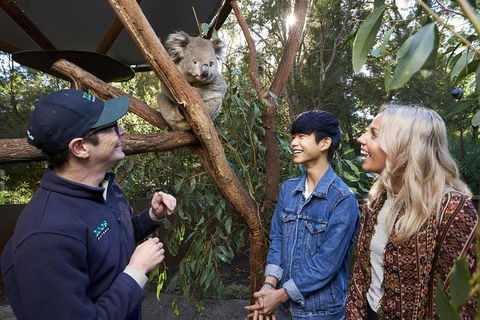 Australian Wildlife Experience At Healesville Sanctuary - Tourism Guide 1