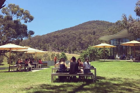 CHEVY CONVERTIBLE Package For 2 People- Wine Lunch Cheese & Chocolate From Melb. - Tourism Guide 6