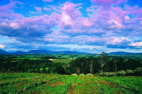 CHEVY CONVERTIBLE Package For 2 People- Wine Lunch Cheese & Chocolate From Melb. - Tourism Guide 7