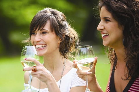 Yarra Valley Wine Tasting Tours - Travel Agents 0