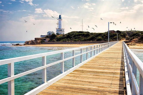 Around The Bay Sightseeing And Bay Cruise - Tourism Guide 9