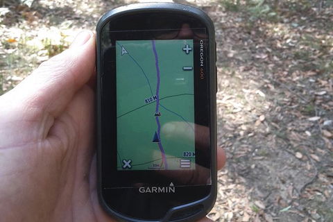 GPS Guided Walks In The Daylesford Forest - Travel Search 0