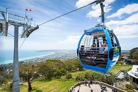 Around The Bay Food And Wine Taste Trail - Tourism Guide 1