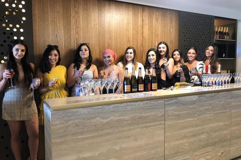 Yarra Valley Public Winery Tours - Travel Agents 0