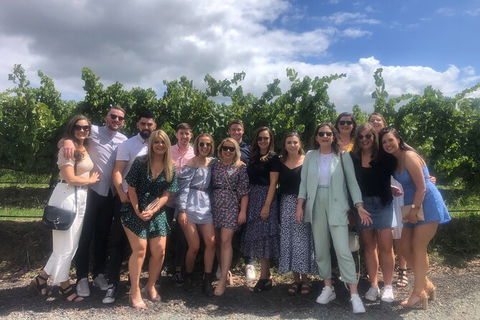 Yarra Valley Public Winery Tours - Travel Agents 16