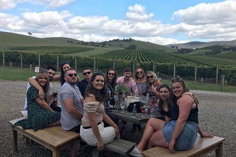 Yarra Valley Public Winery Tours - Travel Agents 12