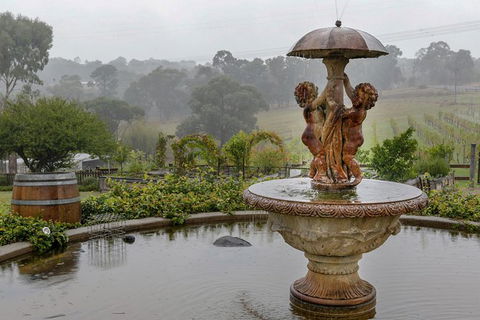 Yarra Valley Public Winery Tours - Travel Agents 6