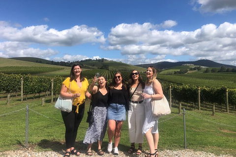 Yarra Valley Public Winery Tours - Travel Agents 15