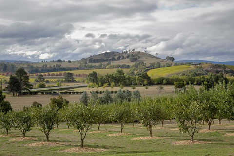 Yarra Valley Public Winery Tours - Travel Agents 5
