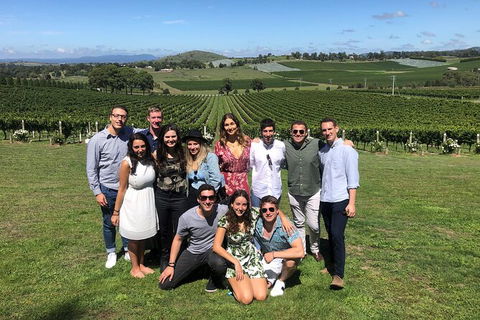Yarra Valley Public Winery Tours - Travel Agents 21