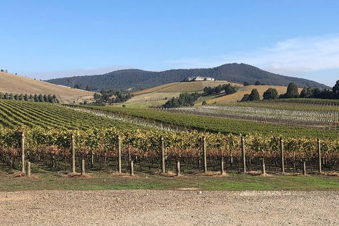 Yarra Valley Public Winery Tours - Travel Agents 17