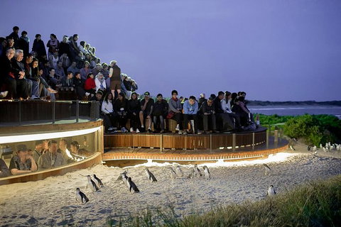 Phillip Island And French Island Wildlife Expedition - Travel Agents 2