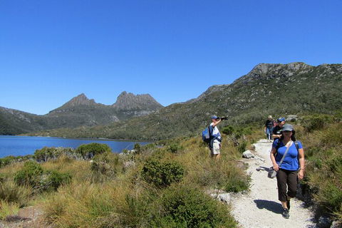 Cradle Mountain Active Day Trip From Launceston - Tourism Guide 9