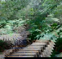 Small-group DayTour from Hobart Hastings Caves Huon Valley and Tahune AirWalk - Cruises Travel