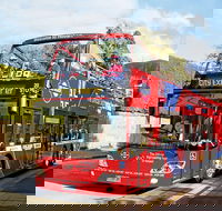 Hobart Hop-on Hop-off Bus Tour - Cruises Travel