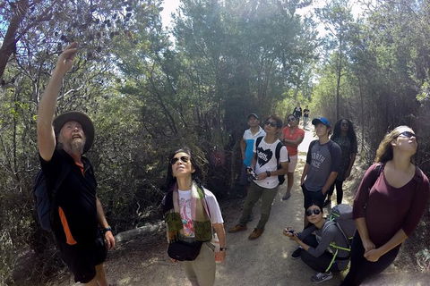 Wineglass Bay Explorer Active Day Trip From Launceston - Tourism Guide 8