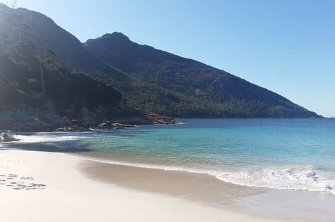 Wineglass Bay Explorer Active Day Trip From Launceston - Tourism Guide 4