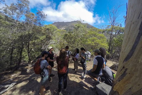 Wineglass Bay Explorer Active Day Trip From Launceston - Tourism Guide 3