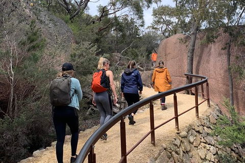 Wineglass Bay Explorer Active Day Trip From Launceston - Tourism Guide 14