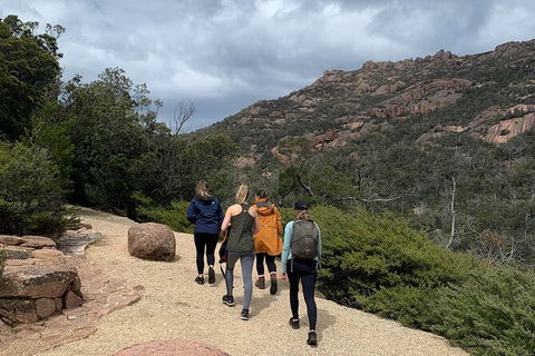 Wineglass Bay Explorer Active Day Trip From Launceston - Tourism Guide 15