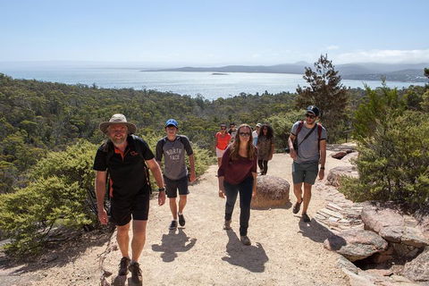 Wineglass Bay Explorer Active Day Trip From Launceston - Tourism Guide 11