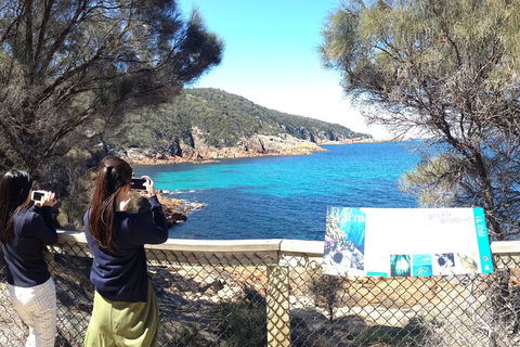 Wineglass Bay Explorer Active Day Trip From Launceston - Tourism Guide 24