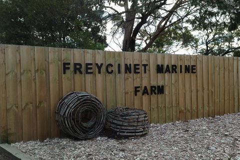 Wineglass Bay Explorer Active Day Trip From Launceston - Tourism Guide 5