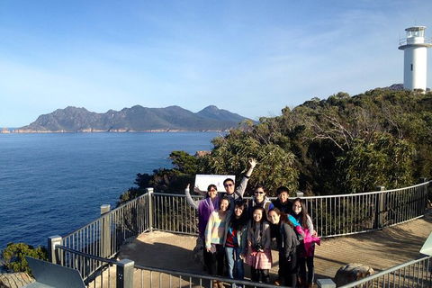 Wineglass Bay Explorer Active Day Trip From Launceston - Tourism Guide 12
