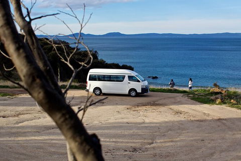 Wineglass Bay Explorer Active Day Trip From Launceston - Tourism Guide 10