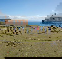 Maria Island Active Day Trip from Hobart - Cruises Travel