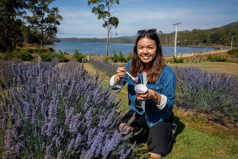 Port Arthur And Lavender Farm Active Day Tour - Tourism Guide 0
