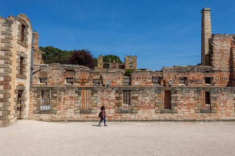 Port Arthur And Lavender Farm Active Day Tour - Tourism Guide 1