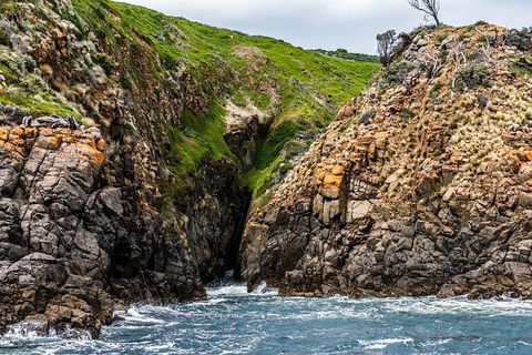 Hobart Sightseeing Cruise Including Iron Pot Lighthouse - Tourism Guide 1