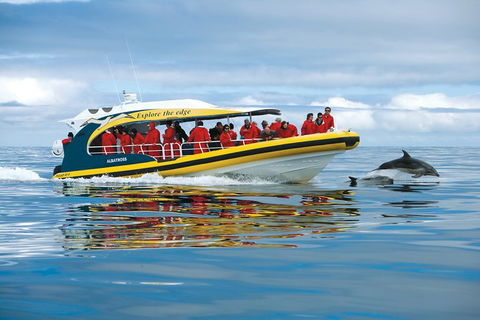 Full-Day Tasman Peninsula Tour From Hobart - Tourism Guide 17