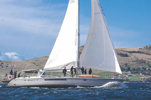 Half-Day Sailing On The Derwent River From Hobart - Tourism Guide 5