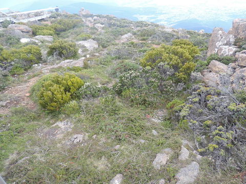 Mt Wellington Tour And MONA Admission - Tourism Guide 8